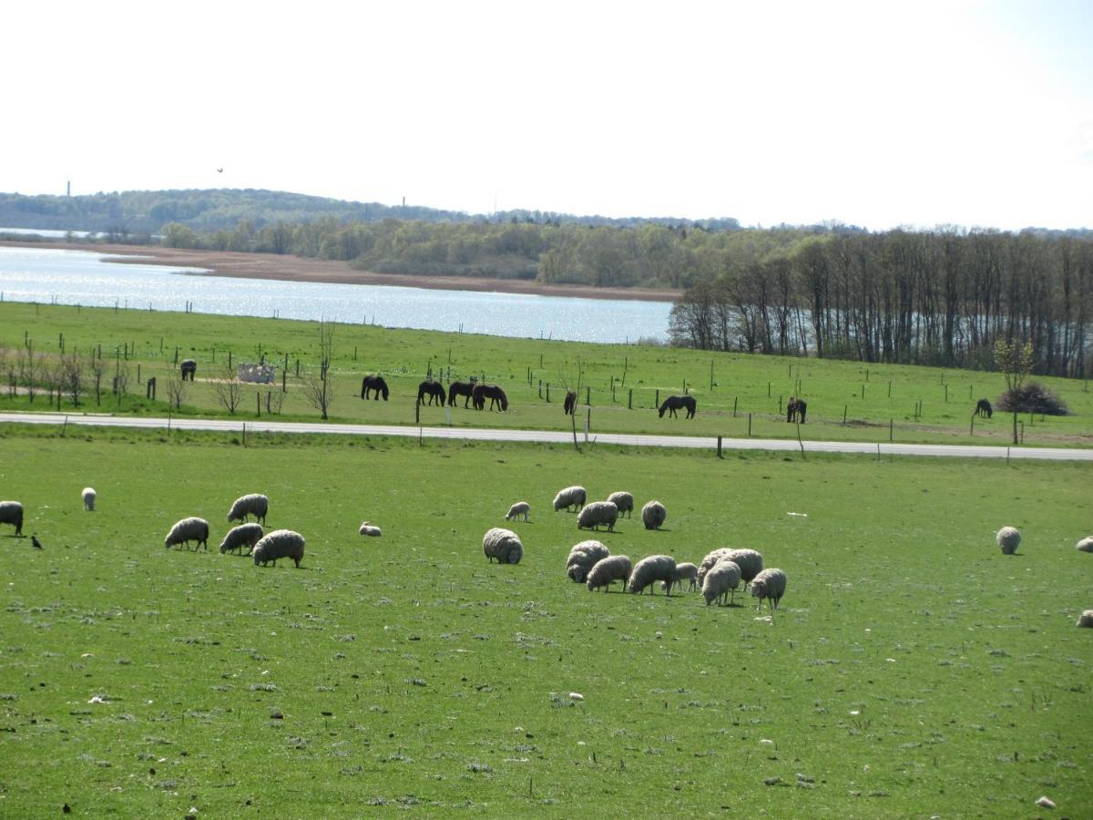 Tisvildehegn Bandb Helsinge Esterno foto